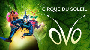 Cirque du Soleil OVO