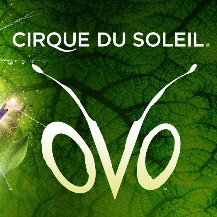 cirque du soleil OVO